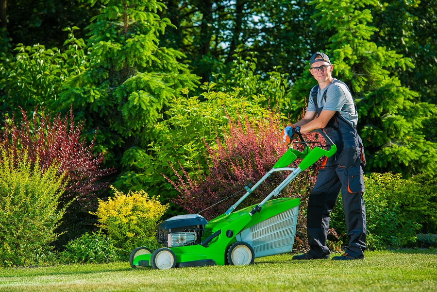 yard maintenance